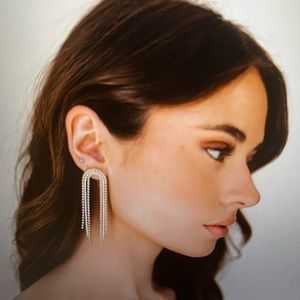 NWT Untamed Petals Cairo earrings